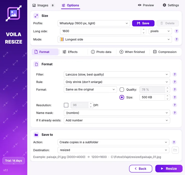 Voila Resize window with size, format and destination options