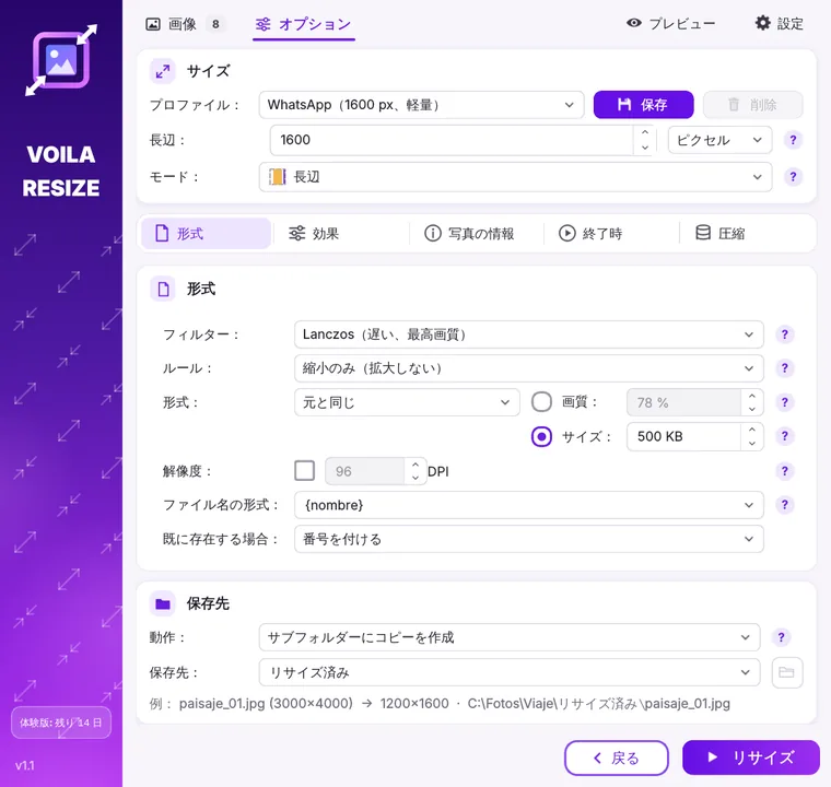 サイズ、形式、保存先の設定が表示された Voila Resize のウィンドウ